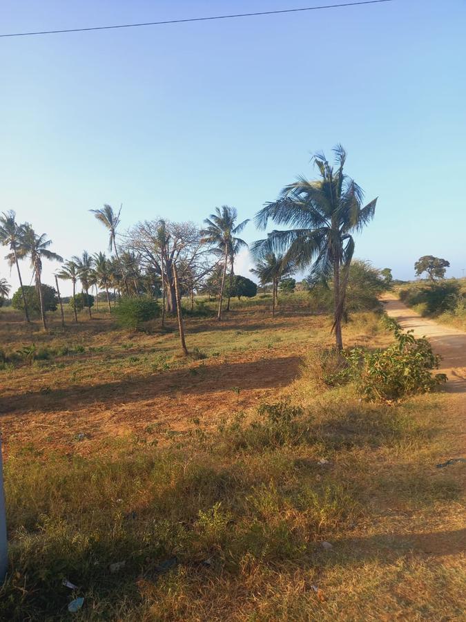 Land at Mavueni Kaloleni Road - 7