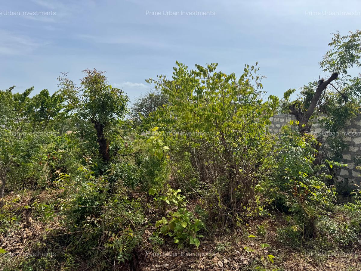 Land in Kilifi - 7
