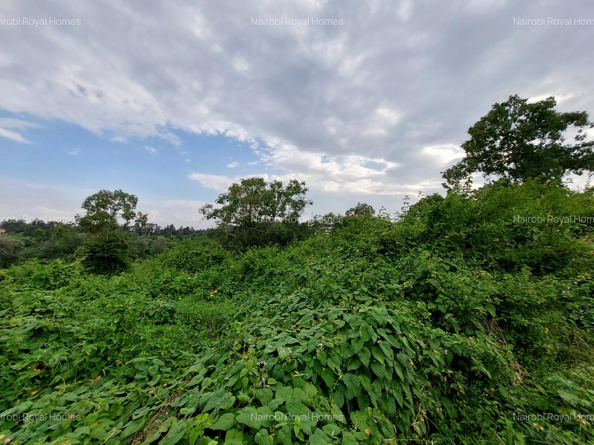 Commercial Land at Redhill Road - 4