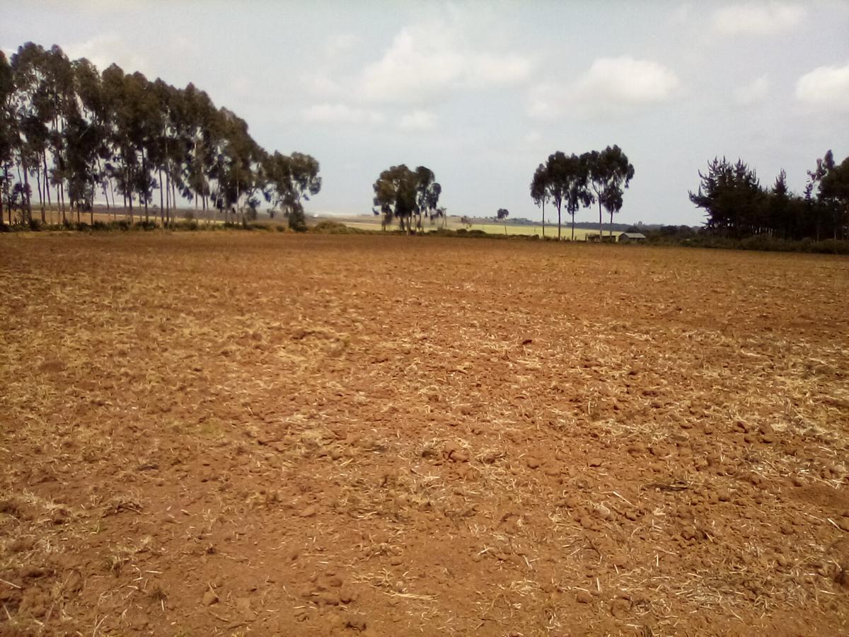 Land at Timau - 8