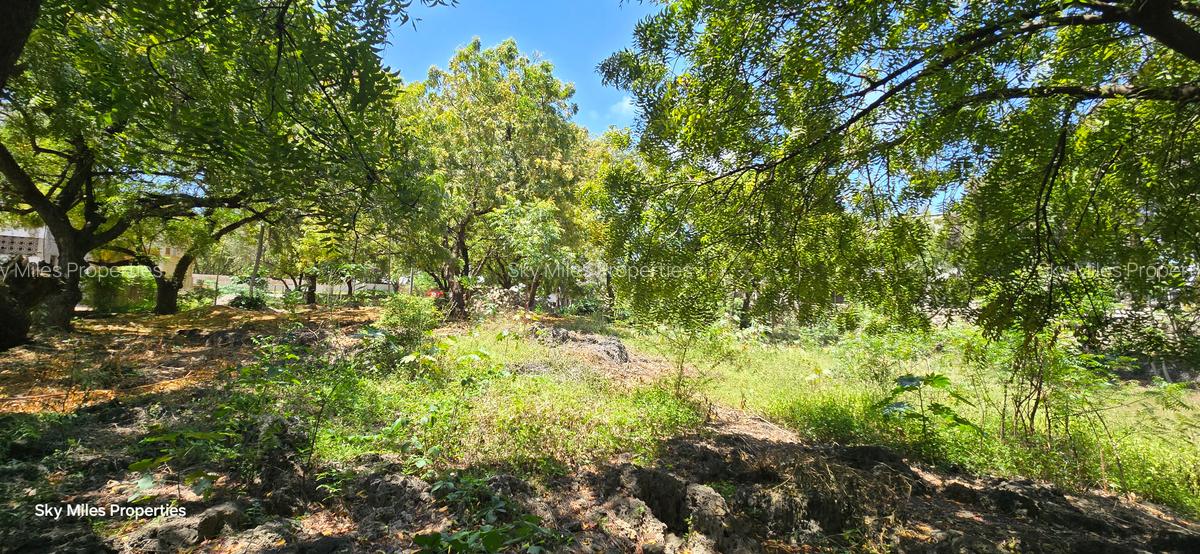 1 ac Land at Hemingways - 11