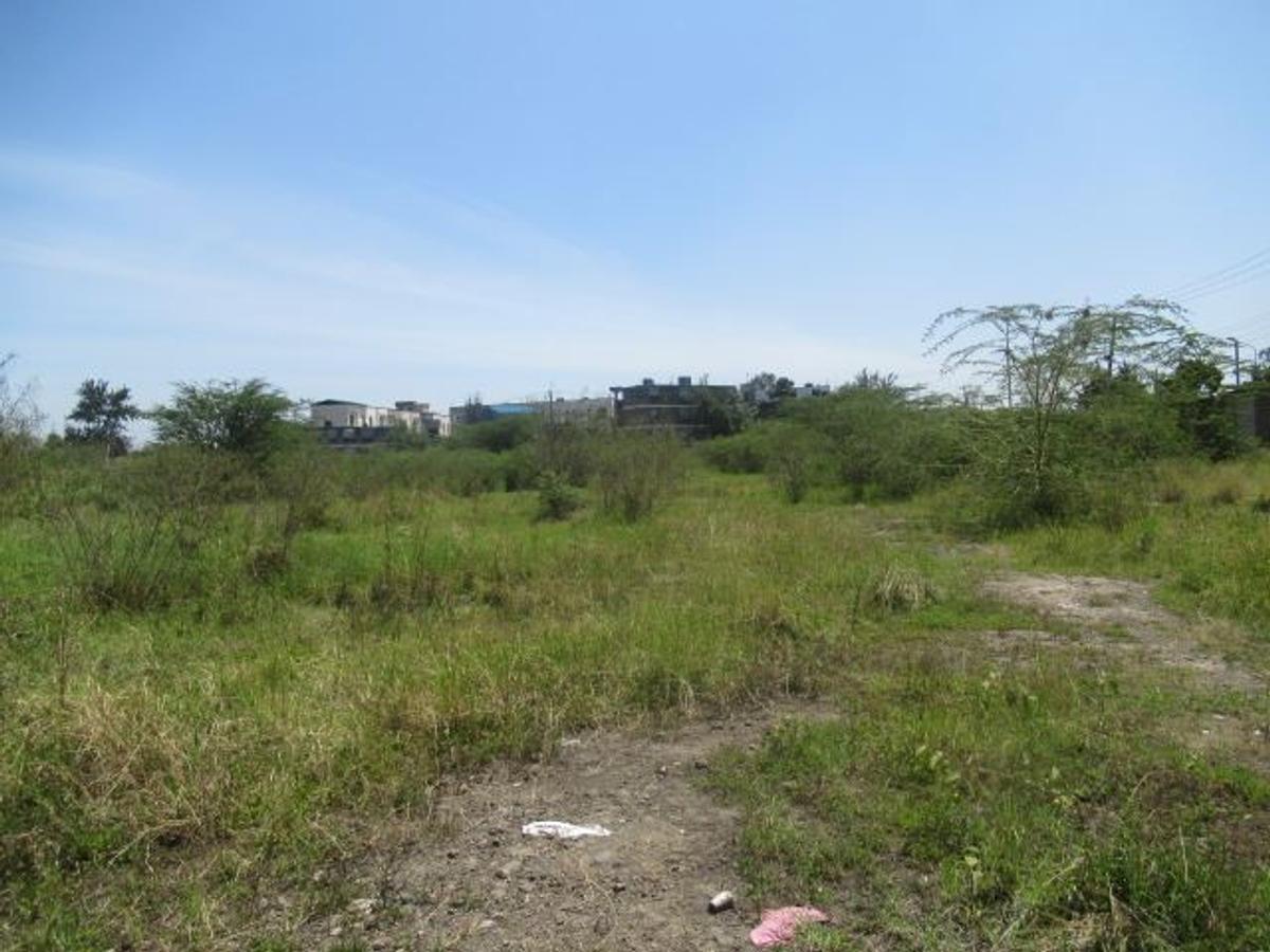 23,796 m² Commercial Land at Nyasa Road - 8