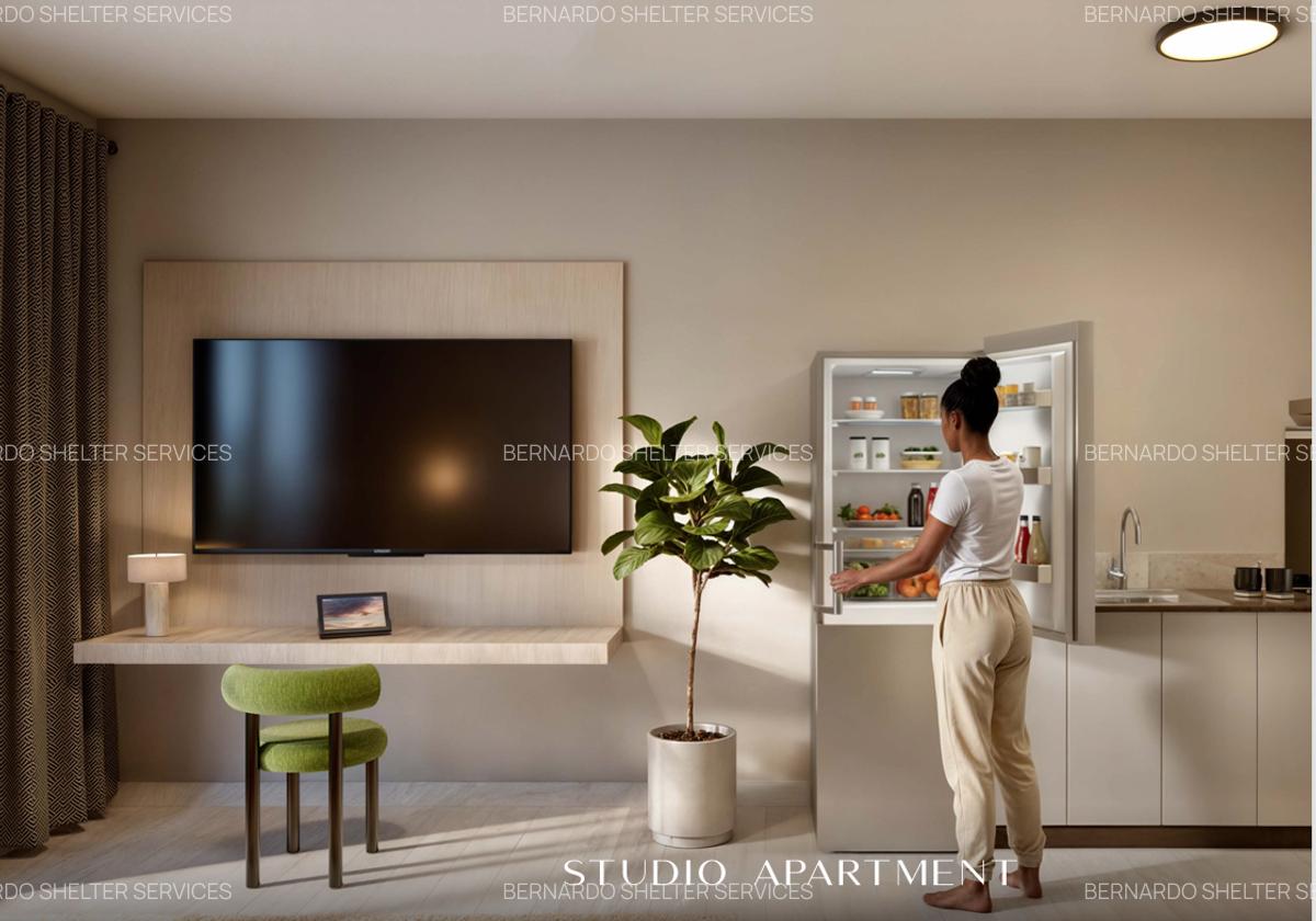 Studio Apartment with En Suite in Thika Road - 14