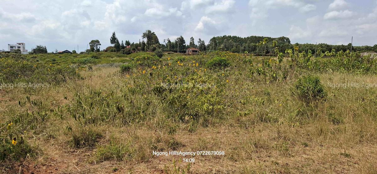 Land in Ngong - 8