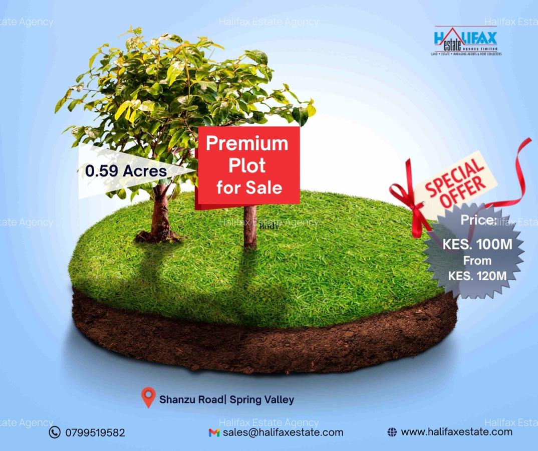 0.59 ac Land in Spring Valley - 1