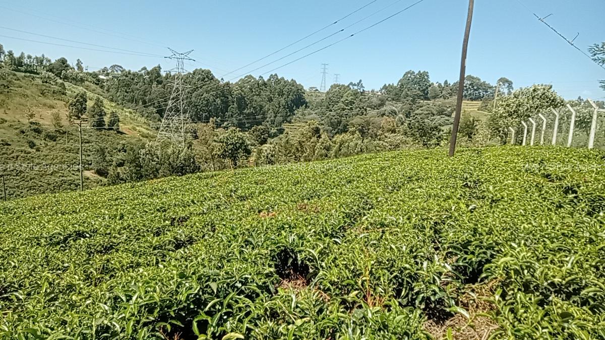 Residential Land in Tigoni - 6