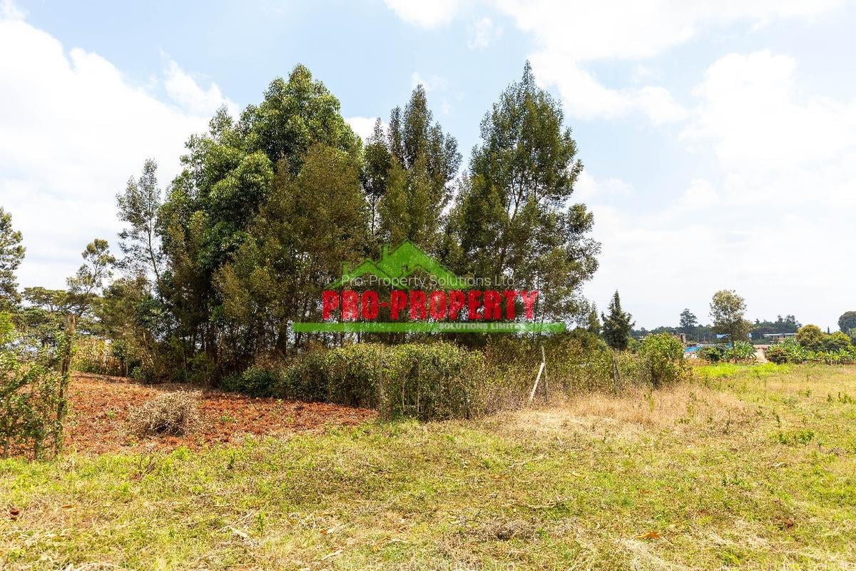 0.05 ha Residential Land in Kikuyu Town - 4