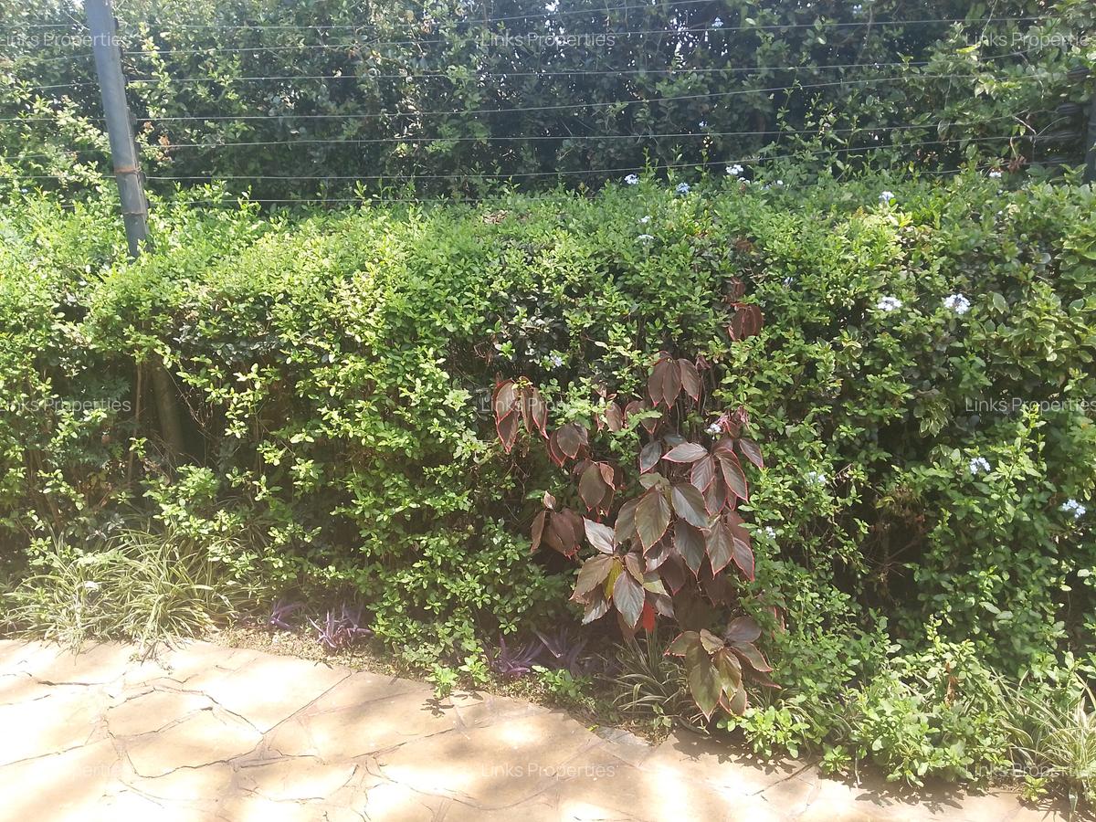 1 Bed House with En Suite at Karen - 14