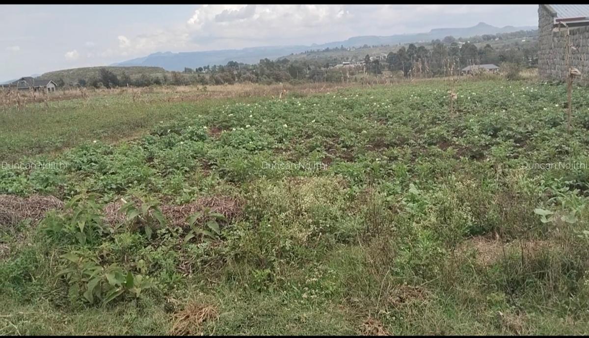 Residential Land at Gema - 5