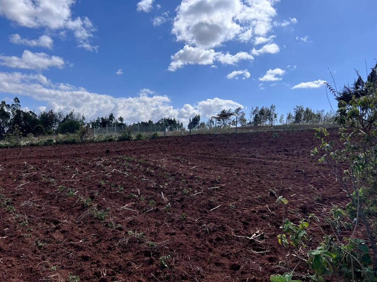 0.05 ha Residential Land at Kamangu - 10