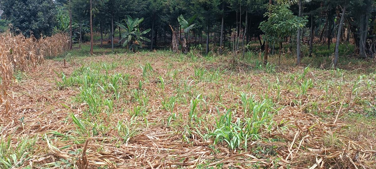 Residential Land at Gathiga - 1