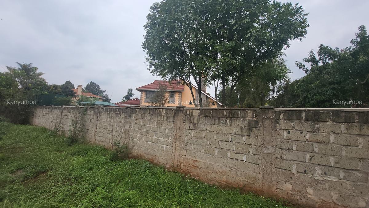 0.5 ac Land at Old Runda - 7