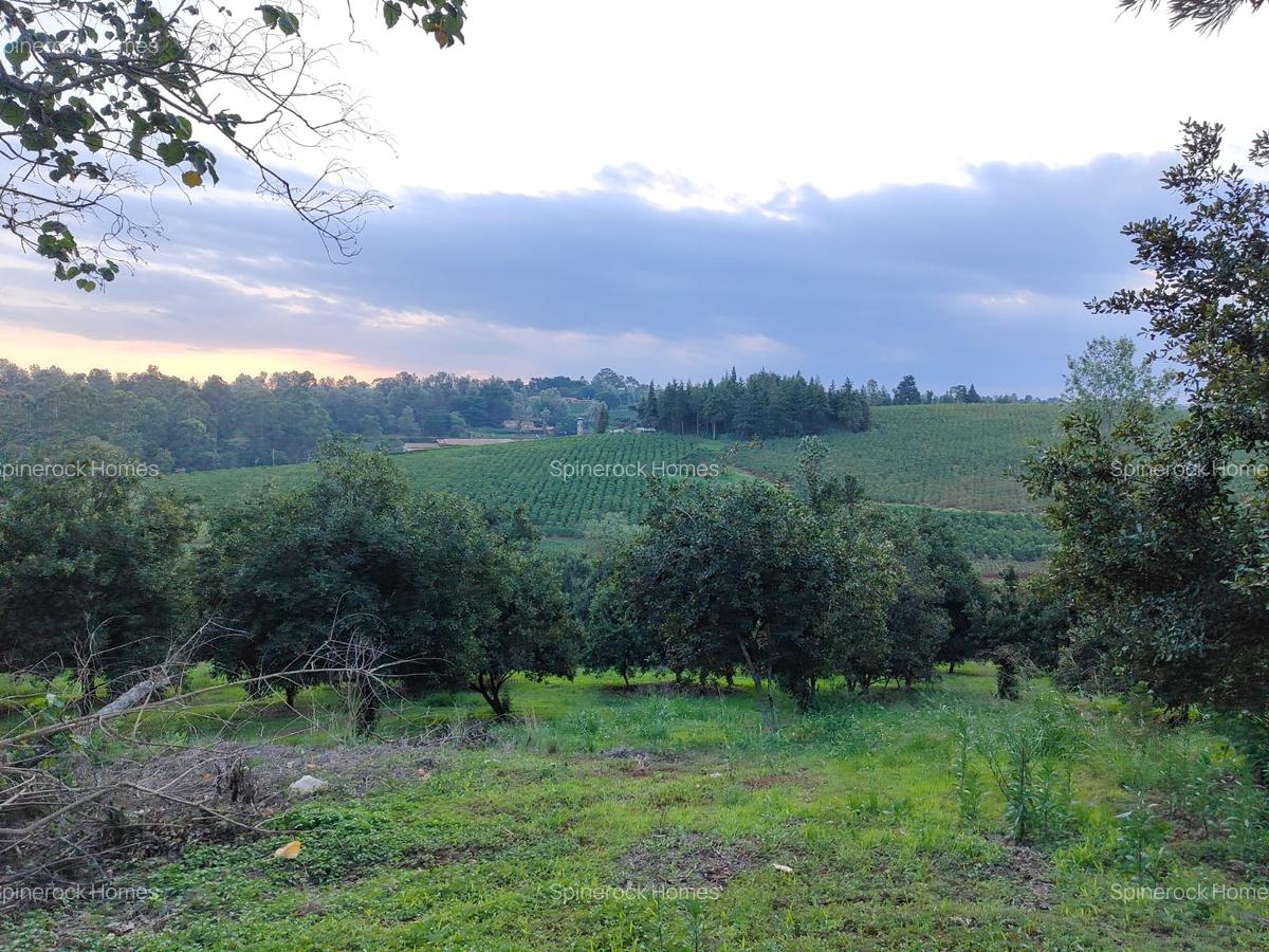 0.125 ac Residential Land at Juja Gatundu Road - 6