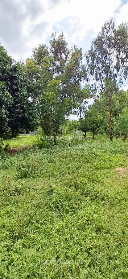 Land at Mtwapa - 16