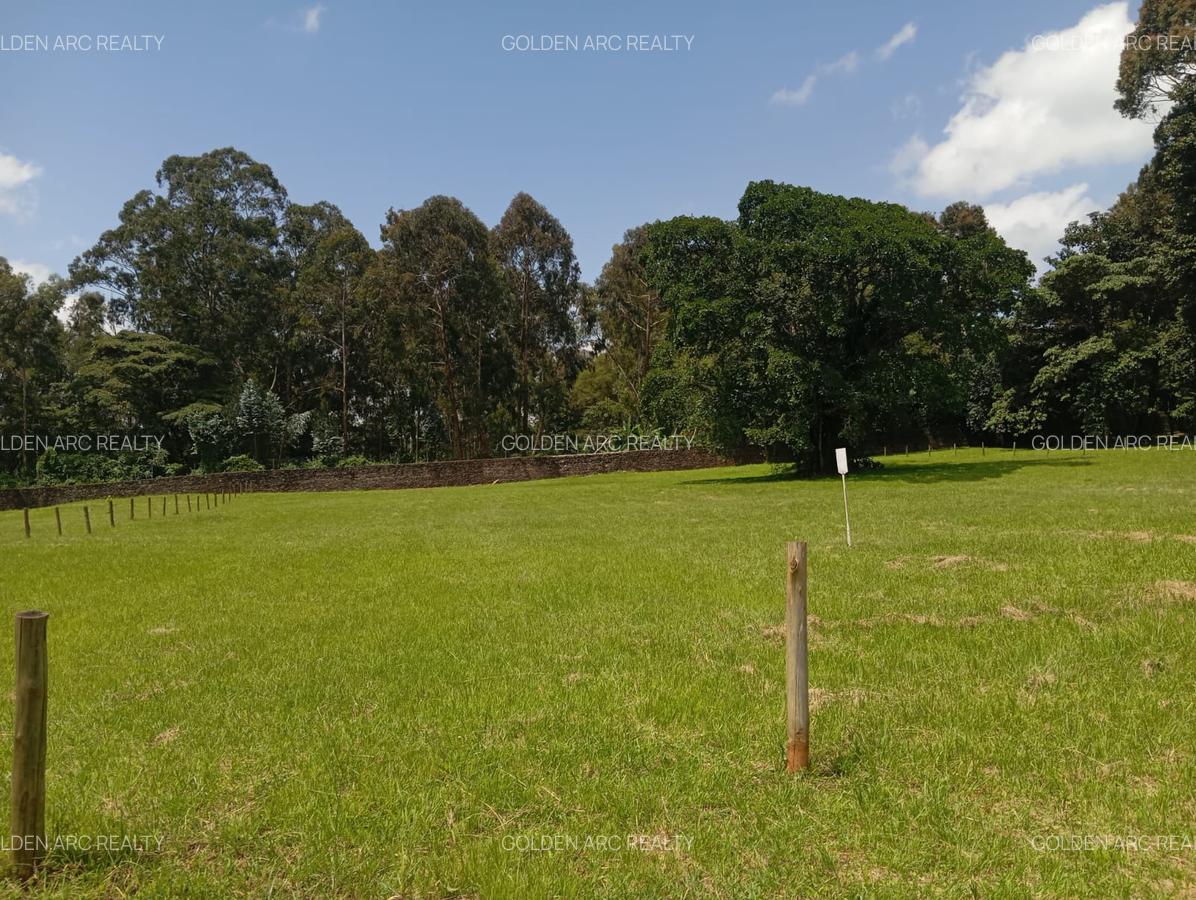 Land in Karen - 9