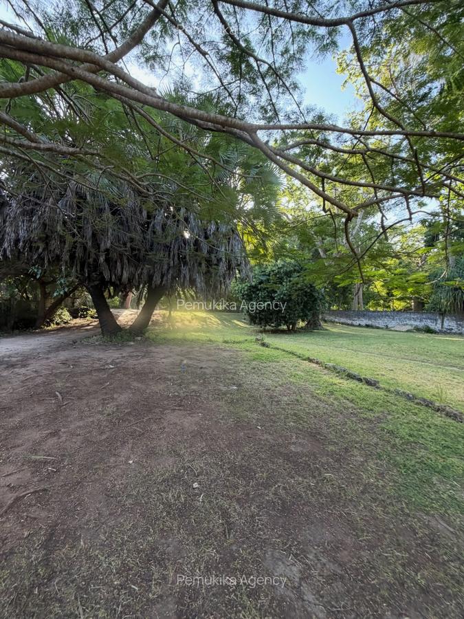 Commercial Land in Diani - 12