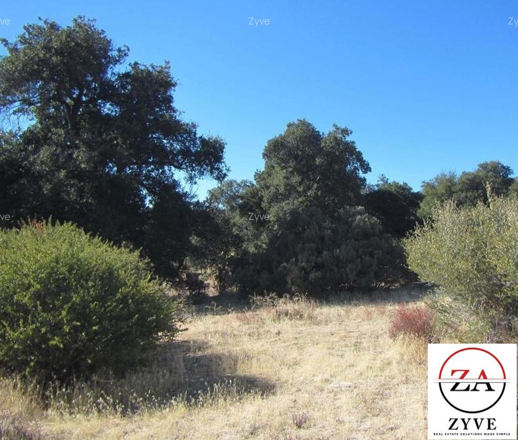 5 ac Land in Kitisuru - 5