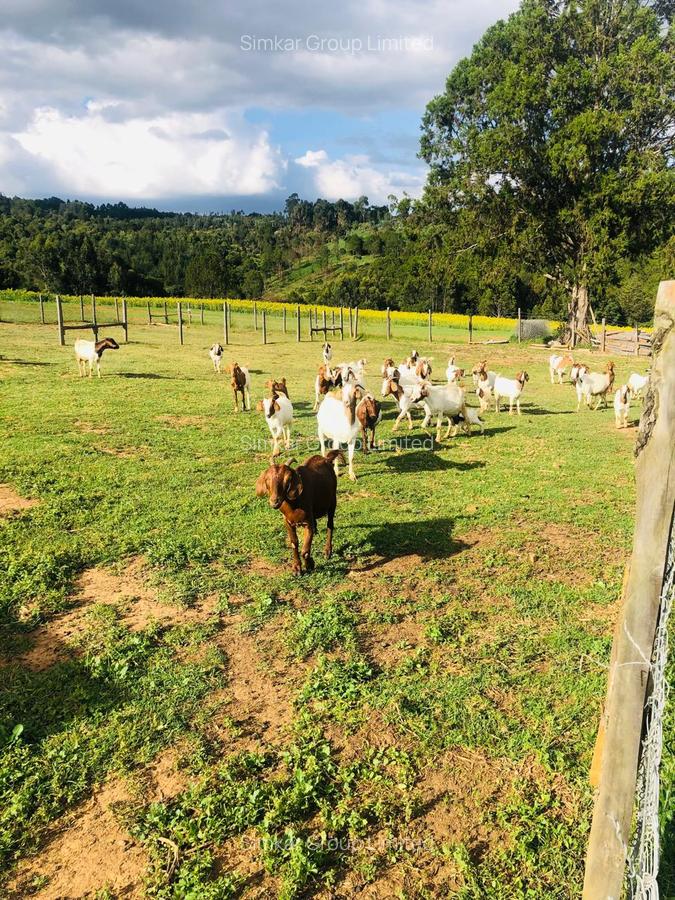 33 ac Land at Ol Kalou - 2