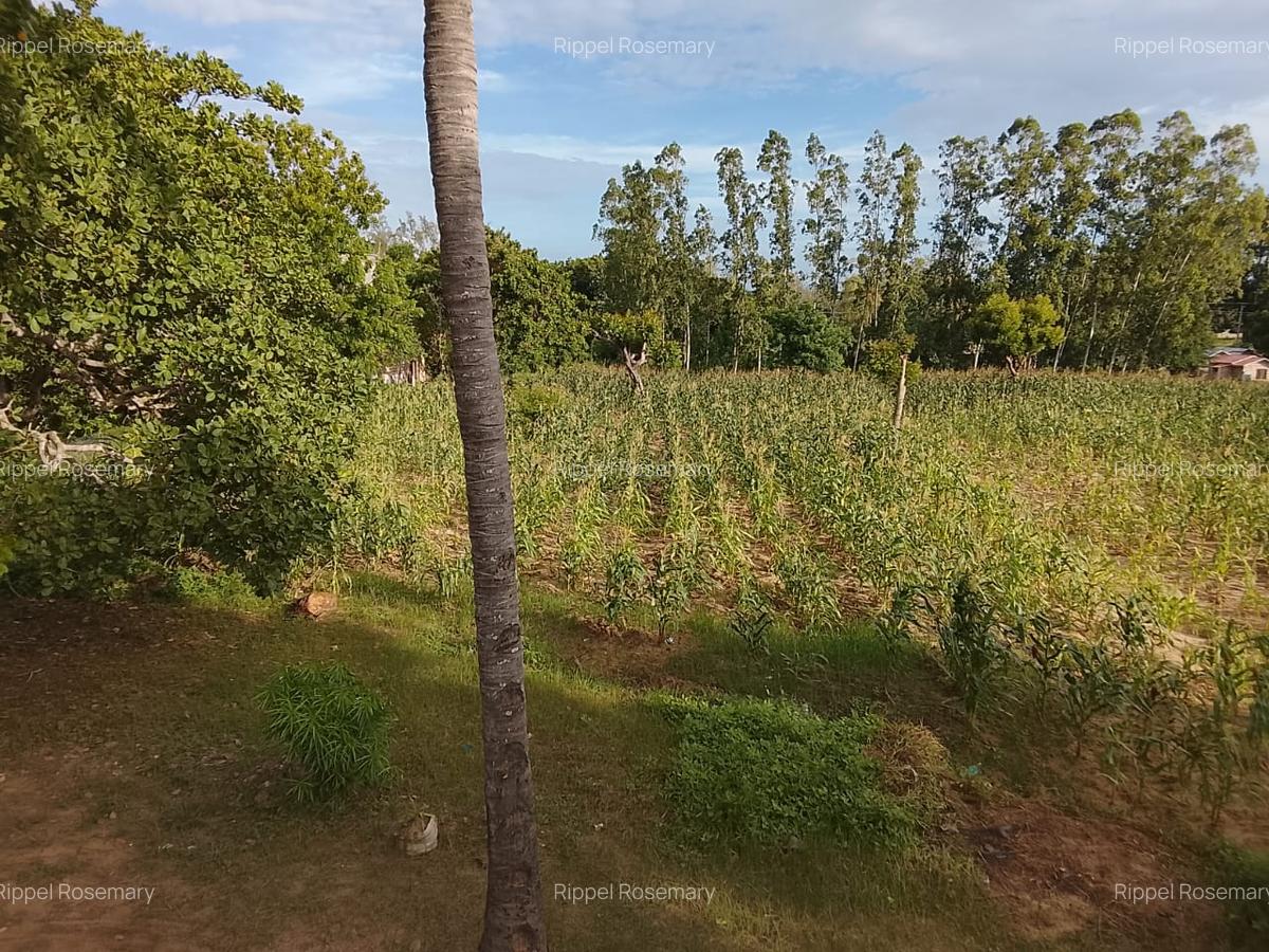 3 Bed House with Garden at Malindi Road - 6