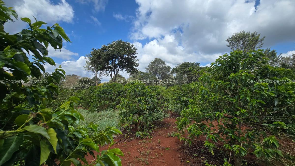 0.25 ac Residential Land in Runda - 19