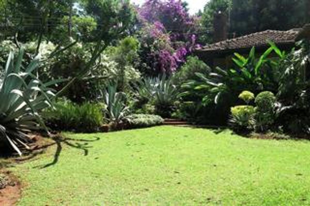 0.8 ac Land at Chalbi Drive - 11