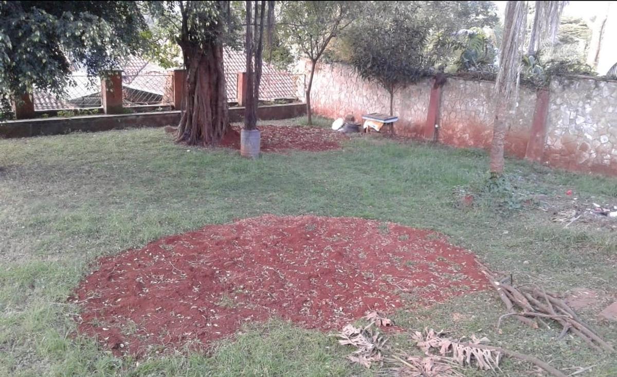 0.5 ac Land in Westlands Area - 3