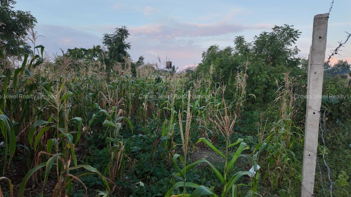 Land in Diani - 16