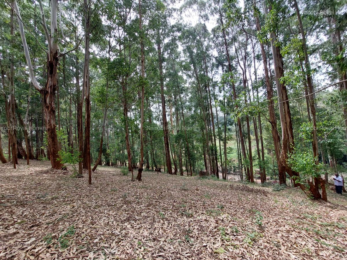 Residential Land at Rosslyn Redhill Road - 16