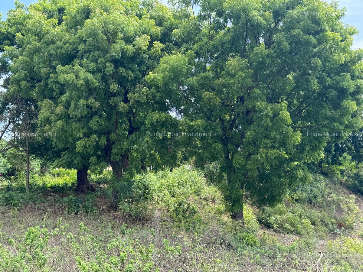 8,093.72 m² Land at Diani 3Rd Row Beach - 7