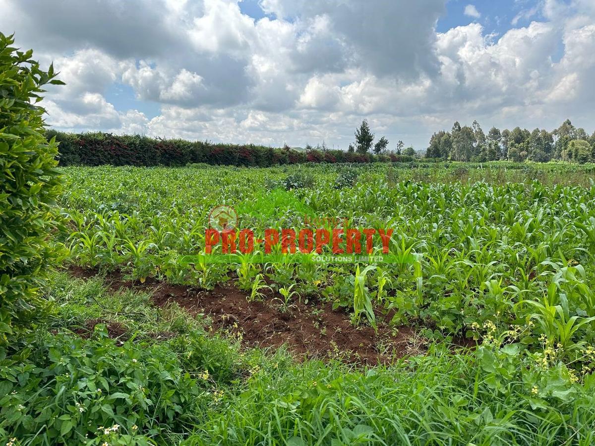 0.4 ha Land at Tilisi - 3