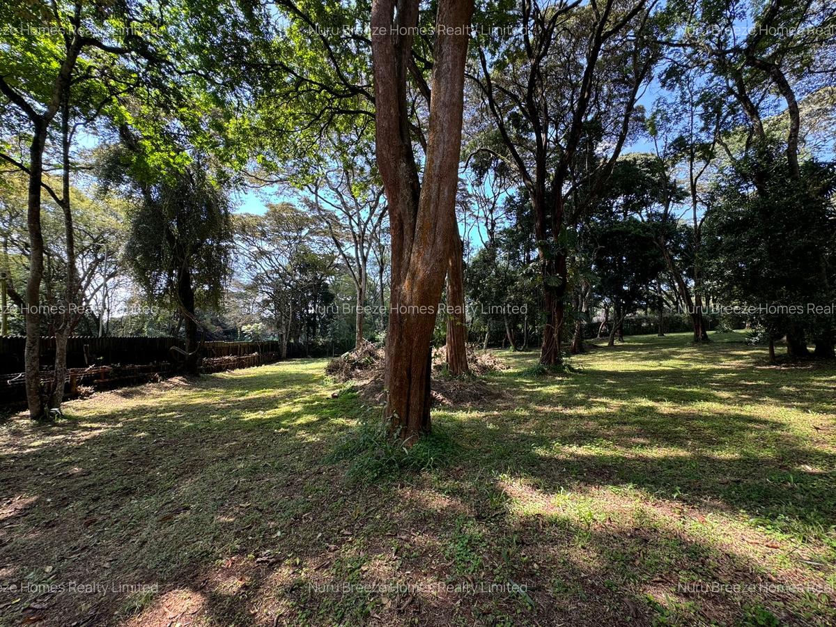 1 ac Land in Karen - 8