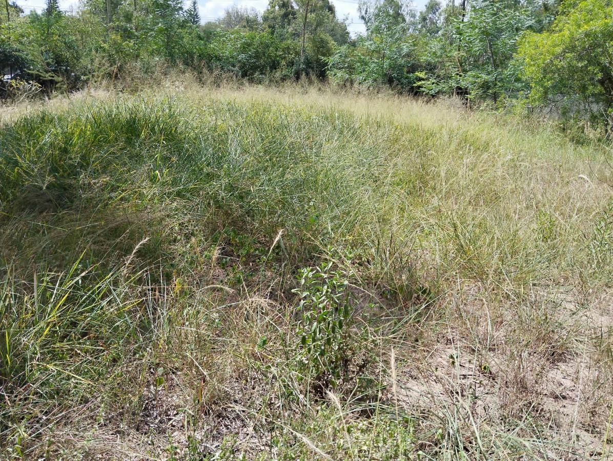 1 ac Residential Land in Karen - 2