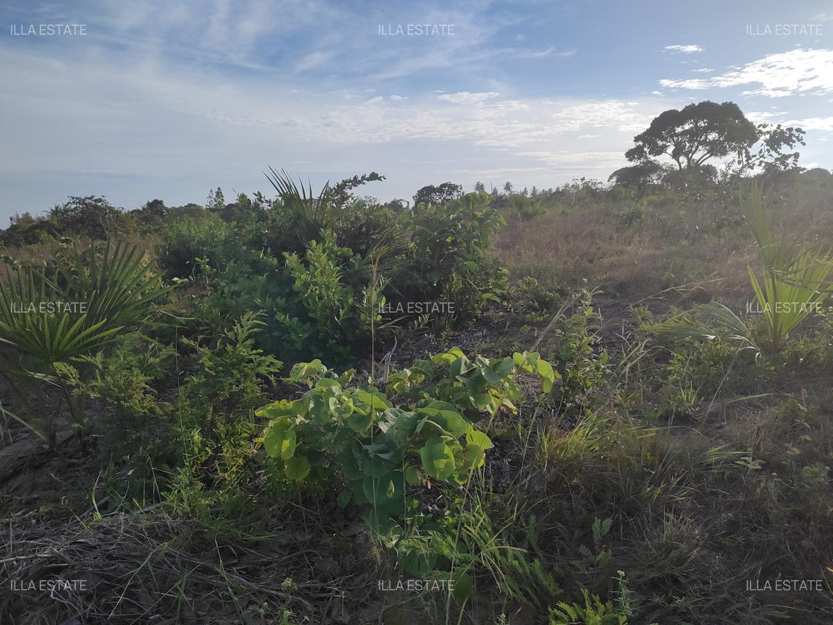 5.00 ac Land at Mabokoni - 5