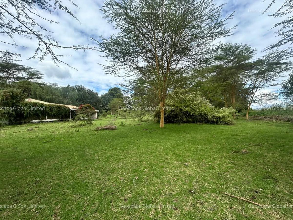 25 ac Land in Naivasha - 1