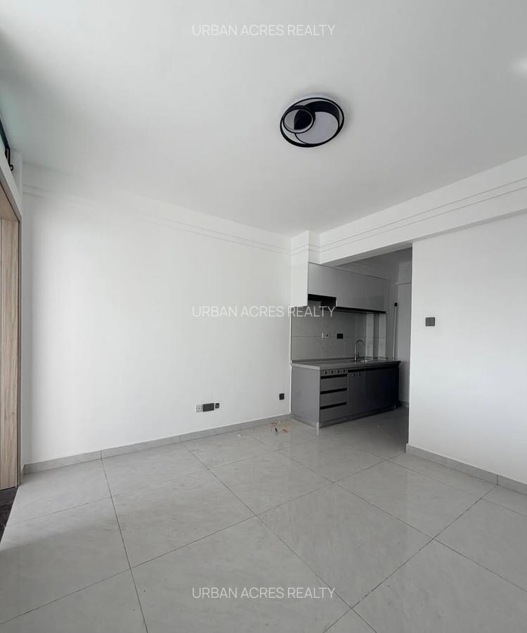 2 Bed Apartment with En Suite in Westlands Area - 7