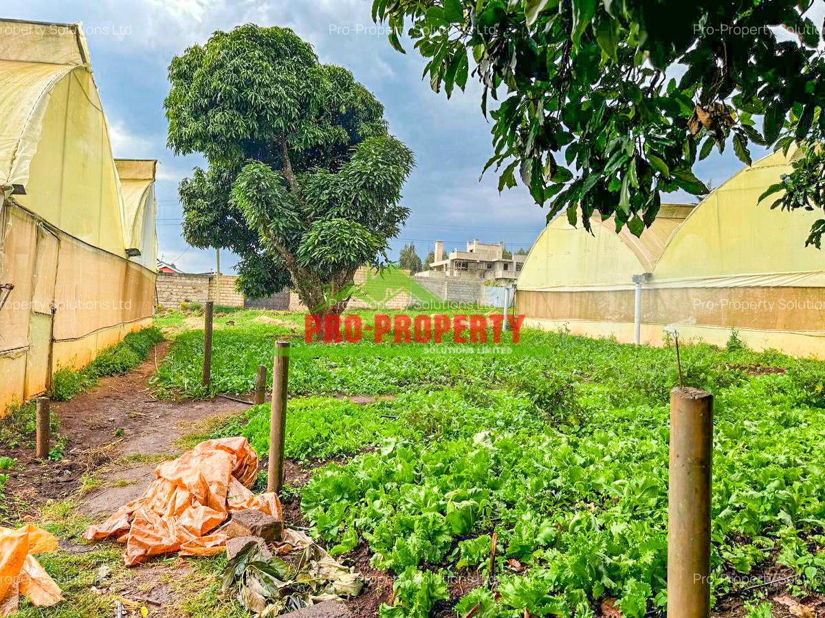 0.05 ha Residential Land at Ondiri - 4