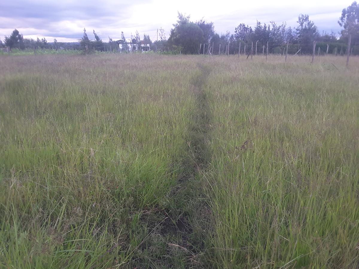 0.113 ac Residential Land in Ongata Rongai - 2