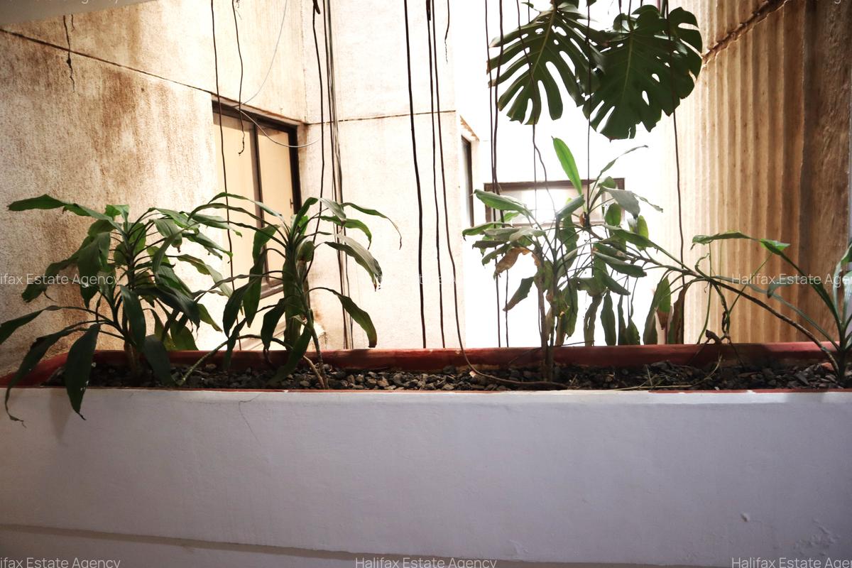 3 Bed Apartment with En Suite in Westlands Area - 17