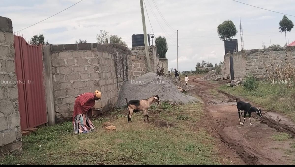 Residential Land at Gema - 6