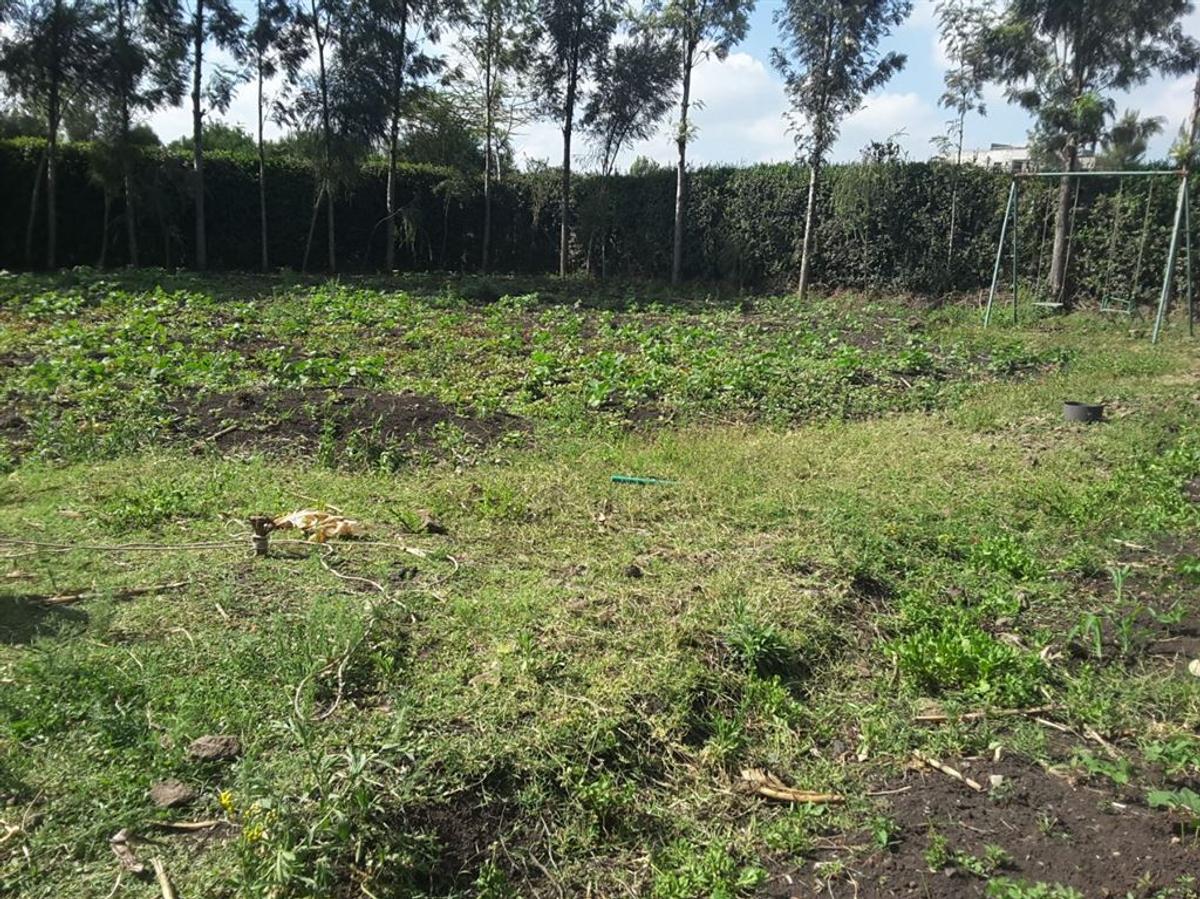 1,000 m² Residential Land in Ongata Rongai - 2