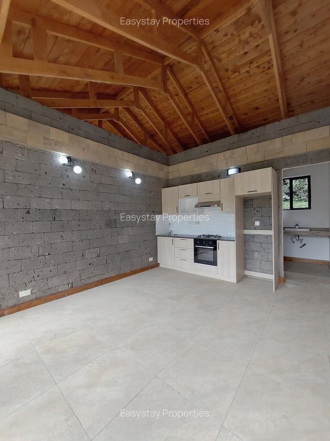 1 Bed House with En Suite in Spring Valley - 4