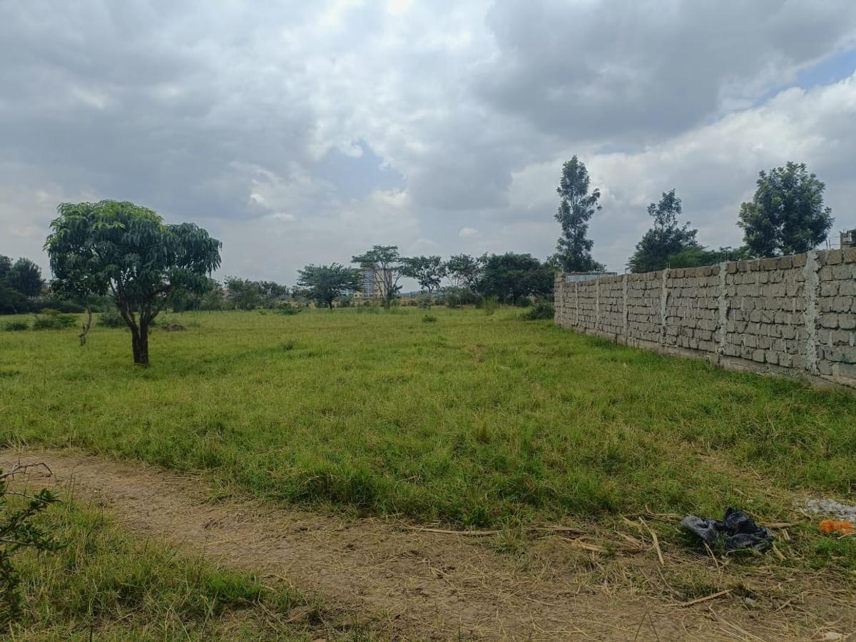 Commercial Land at Juja - 10