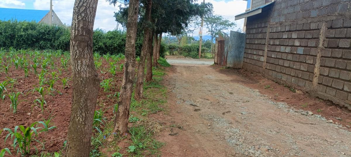 0.05 ha Residential Land at Kikuyu Kamangu Ruthigiti - 6