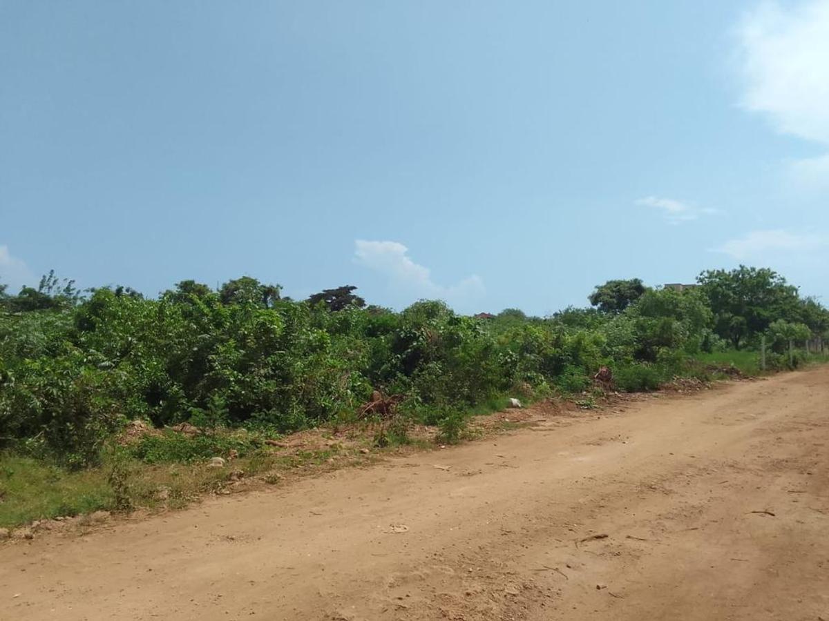 1,000 ft² Land at Diani Beach Road - 4