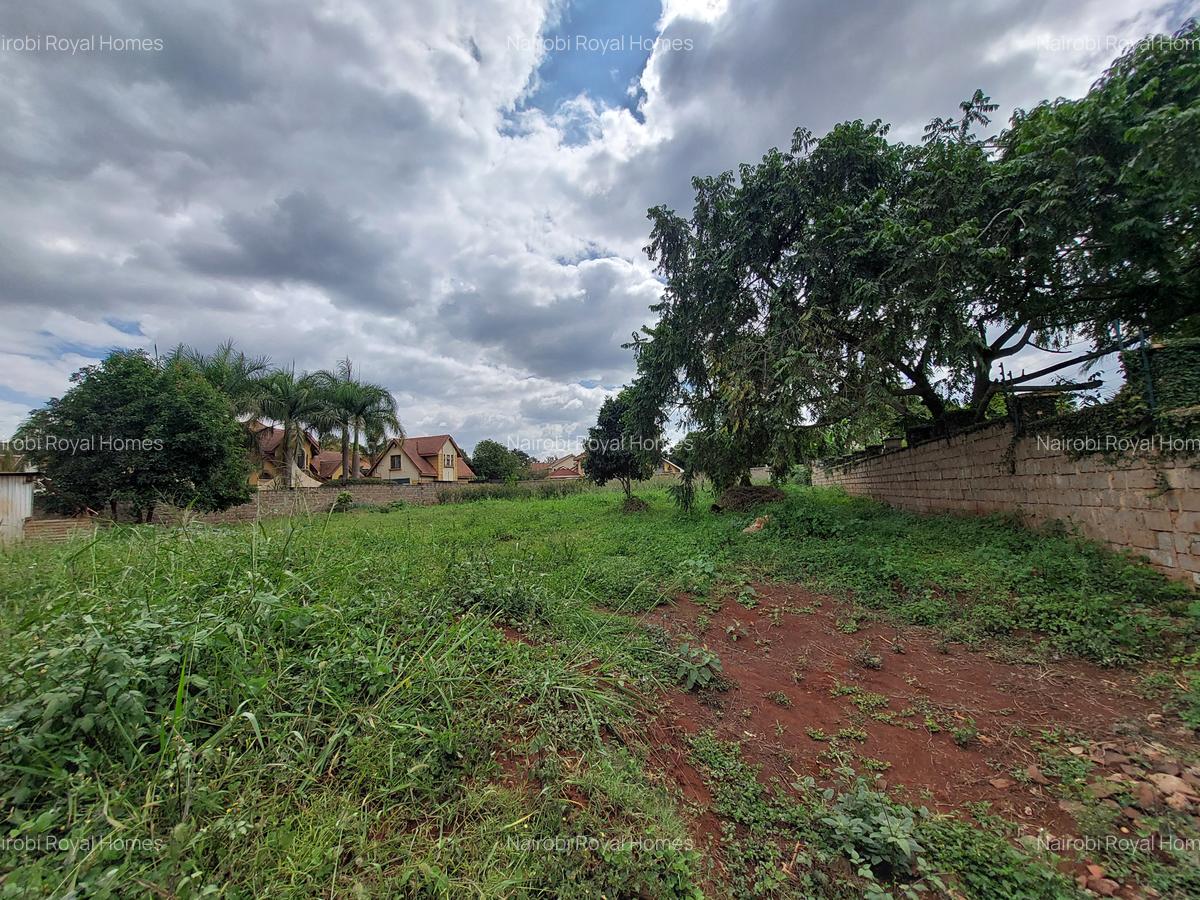 Residential Land at Ruaka Road - 5