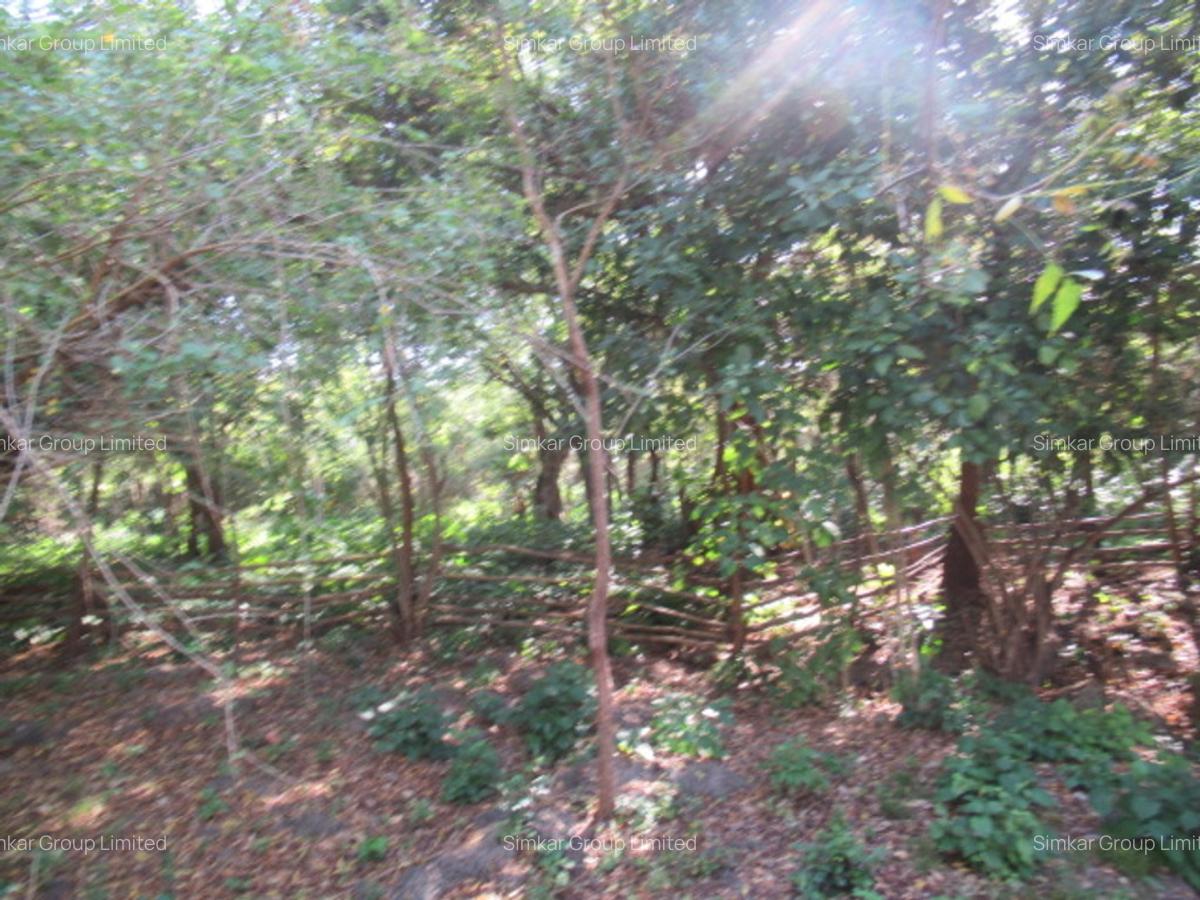 Land at Off Diani Beach Rd - 8