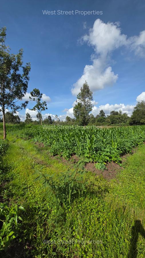 Commercial Property with Service Charge Included at Mutuini Primary - 12
