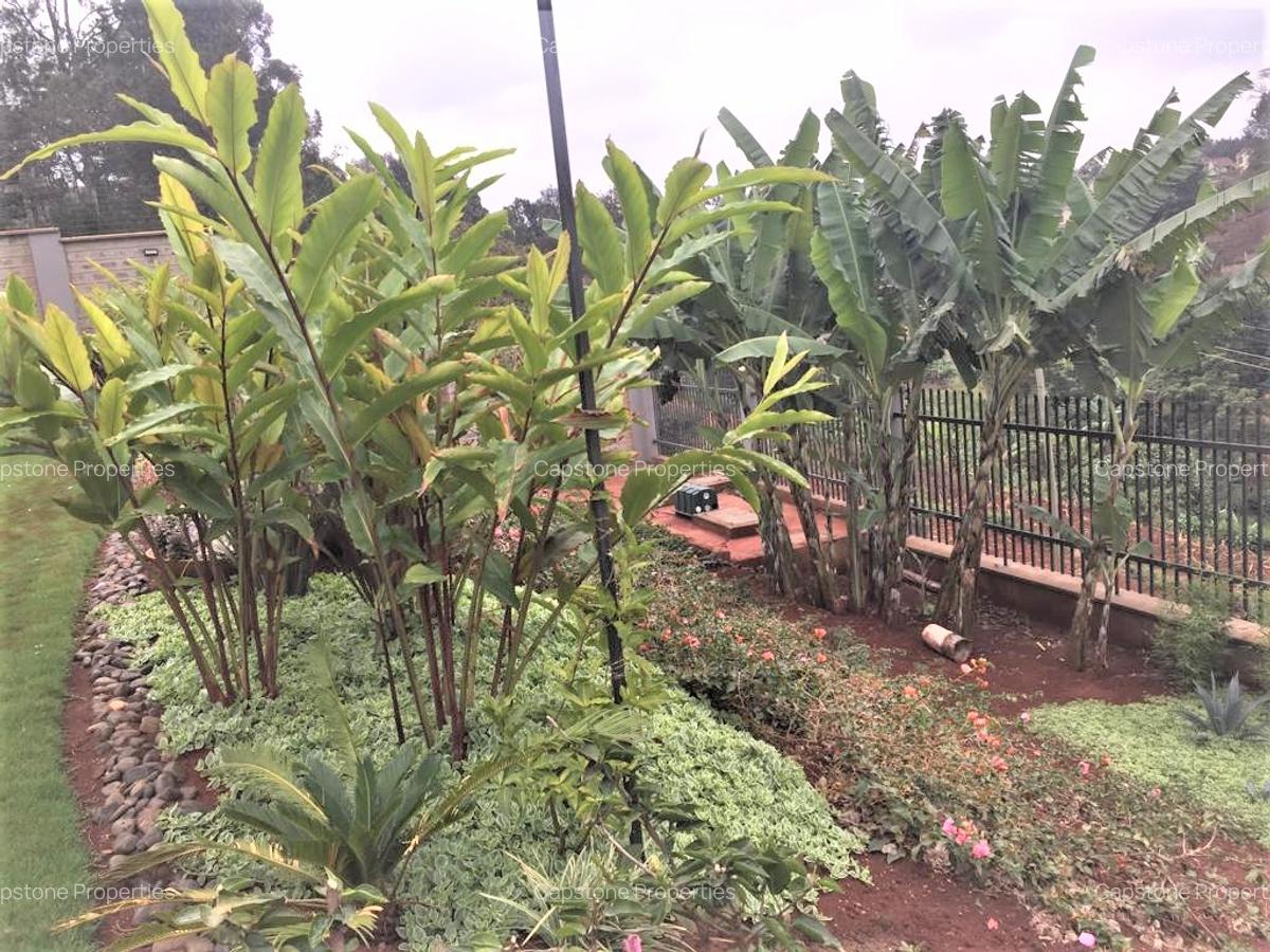 Serviced 2 Bed Apartment with En Suite in Kitisuru - 19
