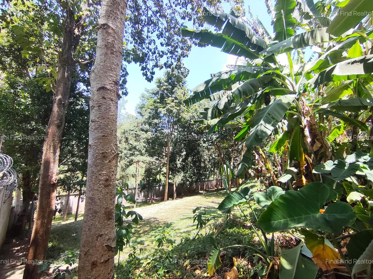 Furnished Studio Apartment with Gym in Gigiri - 7