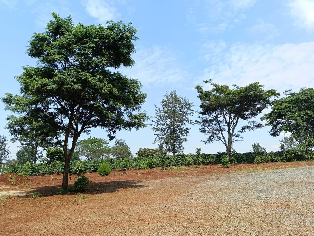 Residential Land at Near Tatu City - 3